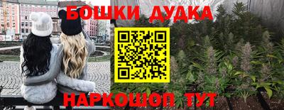 прущие крисы Славгород