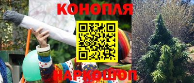 СК Сланцы