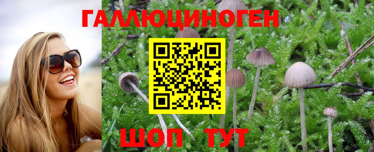 Галлюциногенные грибы MAGIC MUSHROOMS  Вход с VPN  Сальск 